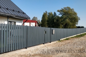 lippaed-2