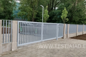 metallaed-1