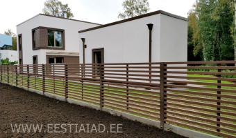 puitaed-4